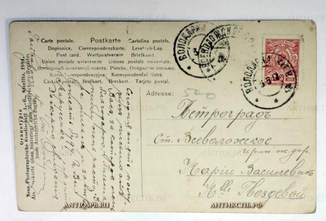 Открытка старинная "Портрет девушки". №147